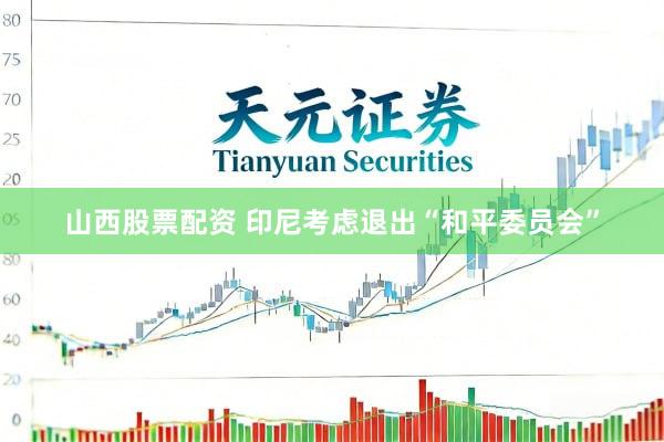 山西股票配资 印尼考虑退出“和平委员会”